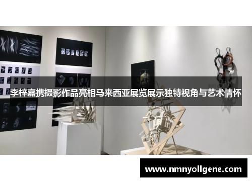 李梓嘉携摄影作品亮相马来西亚展览展示独特视角与艺术情怀