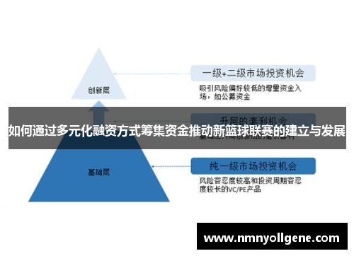 如何通过多元化融资方式筹集资金推动新篮球联赛的建立与发展