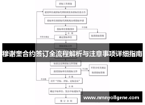 穆谢奎合约签订全流程解析与注意事项详细指南