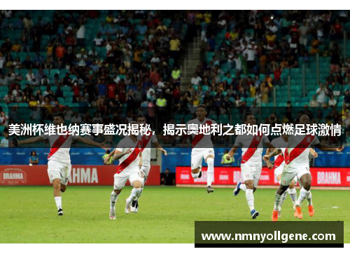 美洲杯维也纳赛事盛况揭秘，揭示奥地利之都如何点燃足球激情