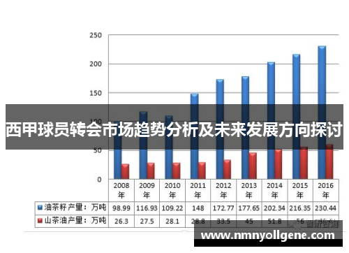 西甲球员转会市场趋势分析及未来发展方向探讨